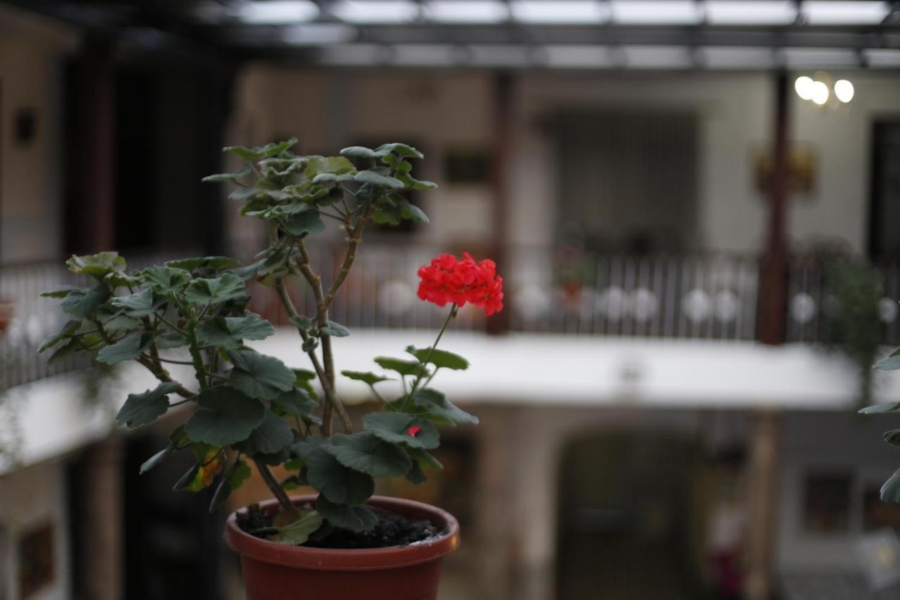 San Marcos Cultural & Guesthouse Quito Eksteriør billede